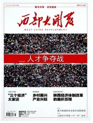 西部大开发