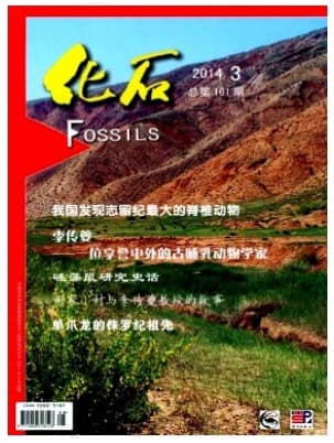 化石