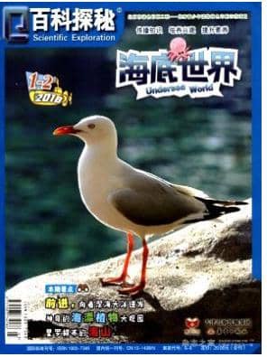 百科探秘
