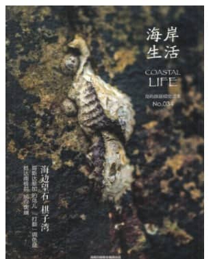 海岸生活