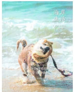 海岸生活