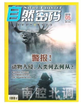 自然密码