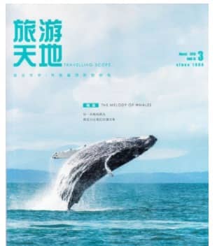 旅游天地