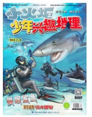 少年兴趣地理