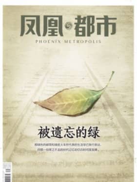 凤凰都市