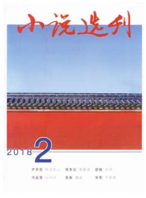 小说选刊