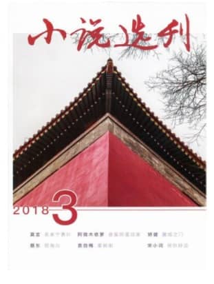 小说选刊