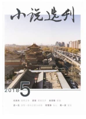 小说选刊