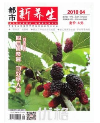 都市新养生