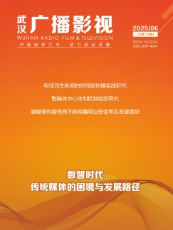 武汉广播影视